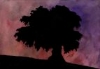 Shadowy Tree -
I'm not very fond of this one, but it may look neat to some.  I came up with this while sitting with my girfriend outside at dusk.
(watercolors)