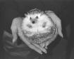 My pet hedgehog, Skitzo, held by Natalie.
